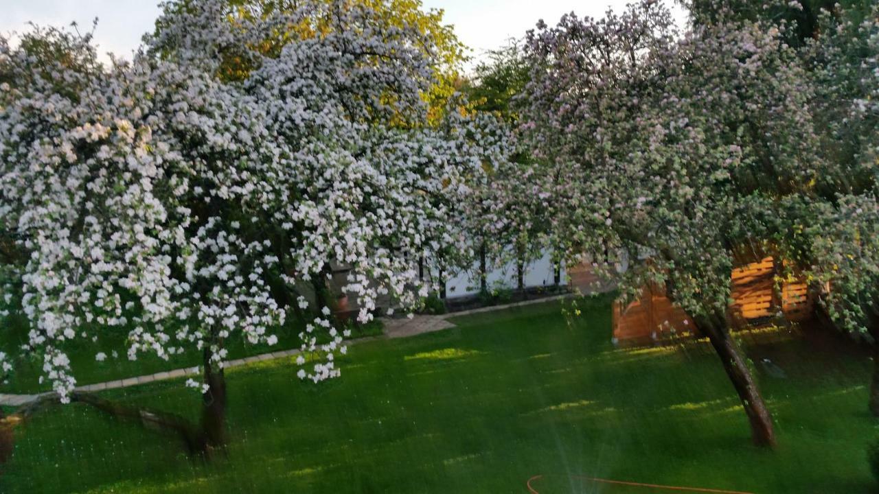 Ferienhaus Gregor Birkenwerder Екстериор снимка